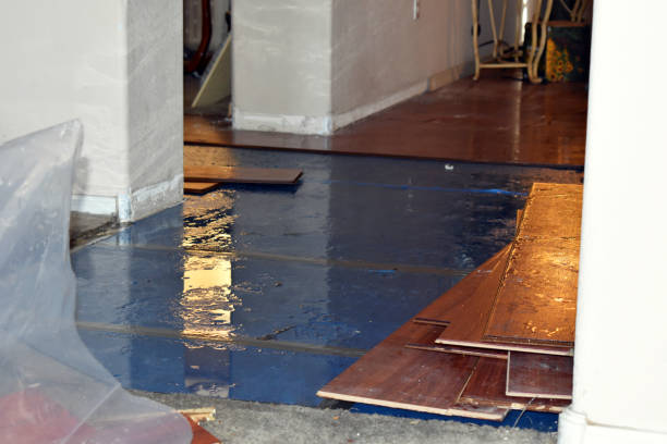 Professional Water Damage Restoration technician working in Springboro, OH